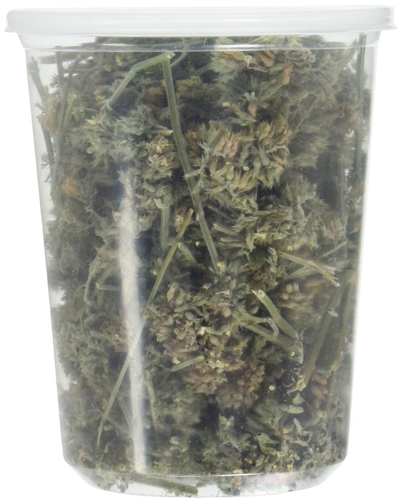 from The Field | Premium Whole Catnip Buds for Cats | Organic, USA-Grown, Fresh & Potent | Natural, Eco-Friendly Cat Treat for Play & Relaxation | Catnip for Indoor Cats | Resealable 1 OZ Tub - Image 1